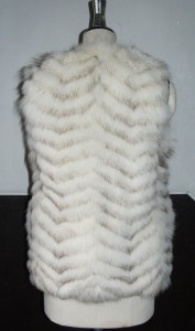 CIMG7818
