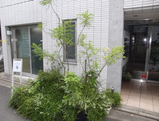 CIMG0761