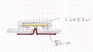 クルミボタン