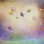 butterfly textures (8)