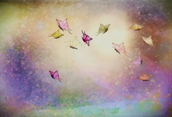 butterfly textures (8)