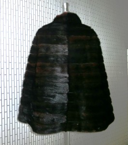 CIMG1548