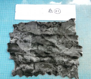 CIMG1493