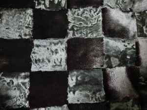 CIMG1754