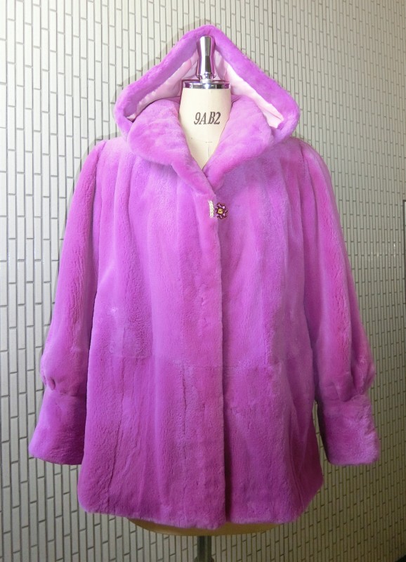 CIMG1903